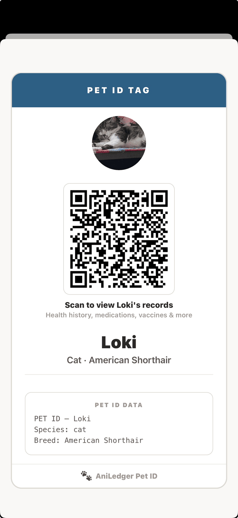 Scannable QR pet ID tag