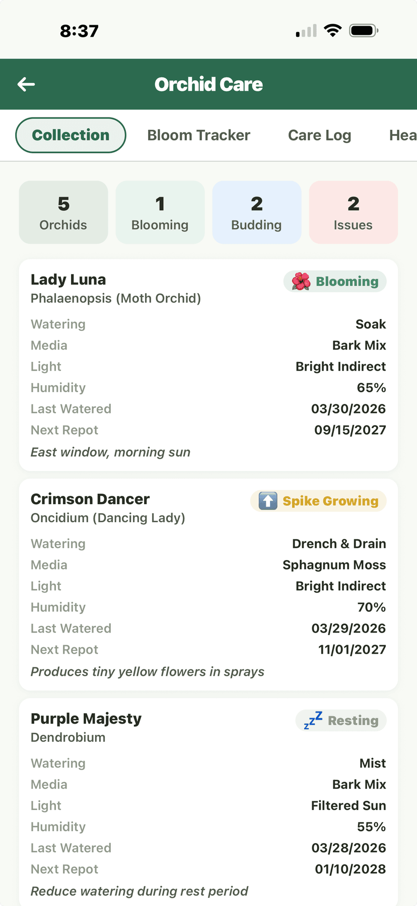 Orchid Care - Collection of 5 orchids