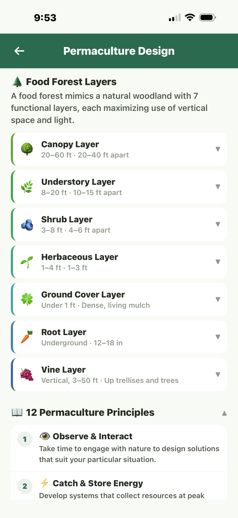 Permaculture - Food Forest layers and principles